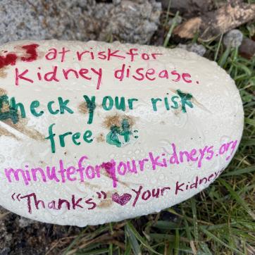 Kidney Foundation painted rock