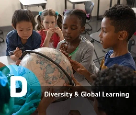 DIVERSITY