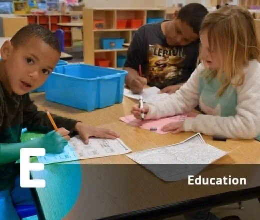 EDUCATION (E)