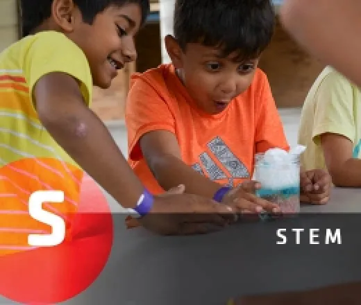 STEM (S)